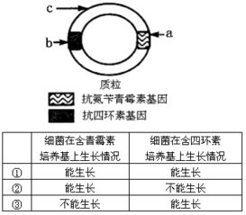基因工程概述与技术原理解析