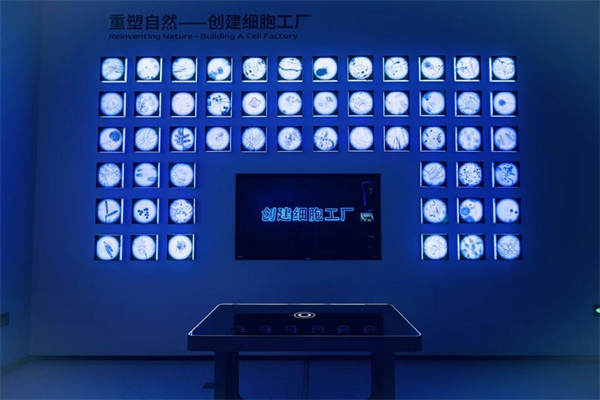 生物制造5.0长啥样？实探华熙生物天津工厂 从“基因密码”到“合成万物”的新质生产力样本